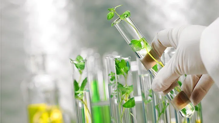 A gloved hand lifting a test tube of green seedlings from a laboratory rack